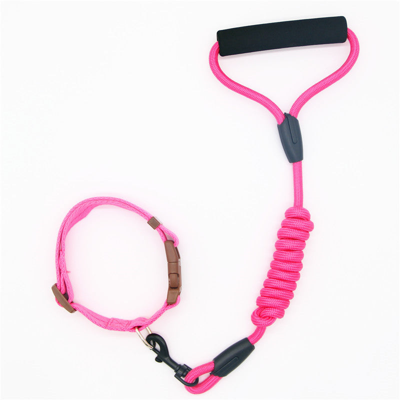Dog Leash Dog and Collar