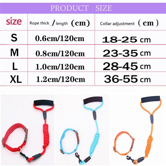 Dog Leash Dog and Collar