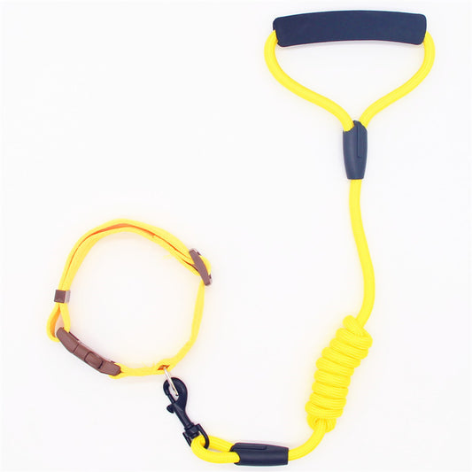 Dog Leash Dog and Collar